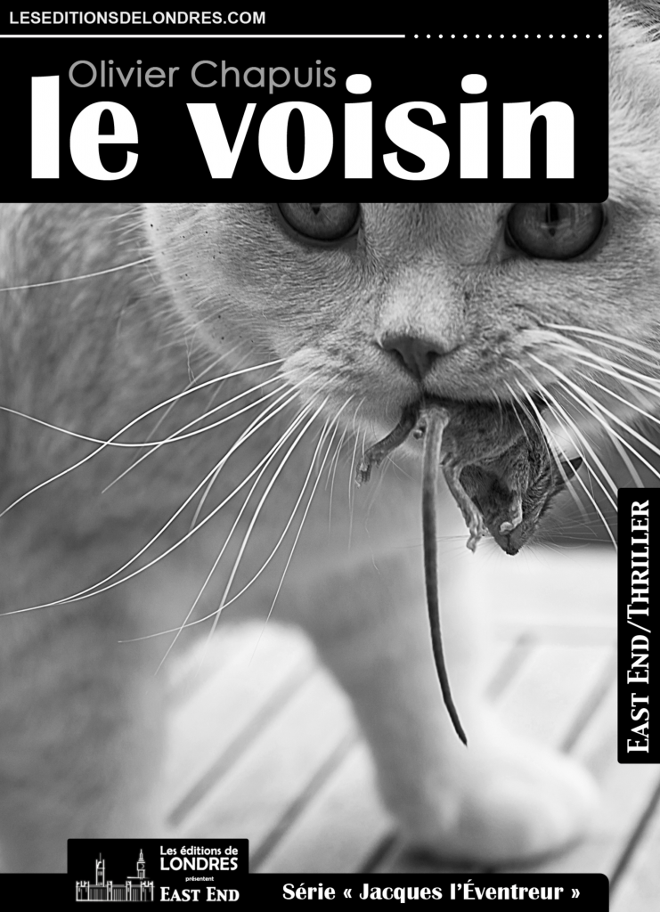 Couverture d’ouvrage : Le Voisin - Olivier Chapuis